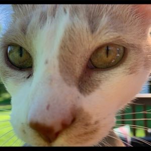 Meet your Posher, Jasmine